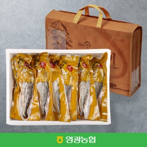 [이달의행사][영광농협] 찐 보리굴비 부세 선물세트 5마리 /30cm이상